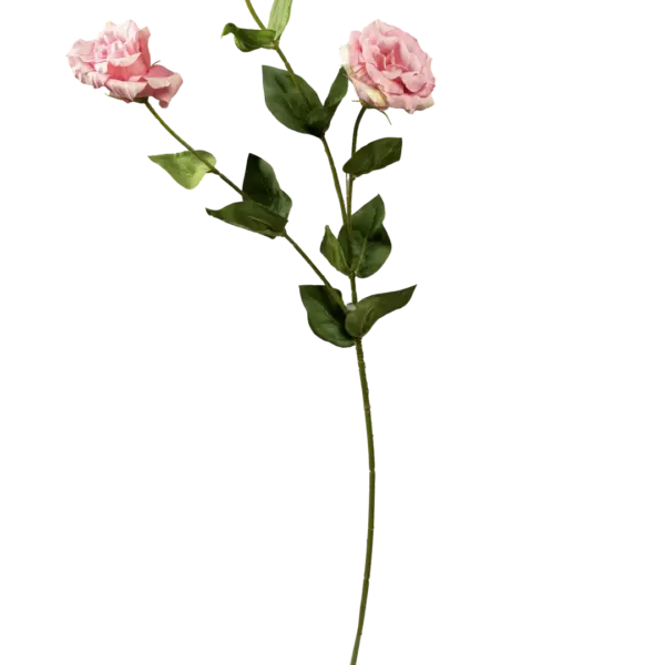 Artificial Eustoma Flower — Soft Apricot Mist | Vyne Boutique