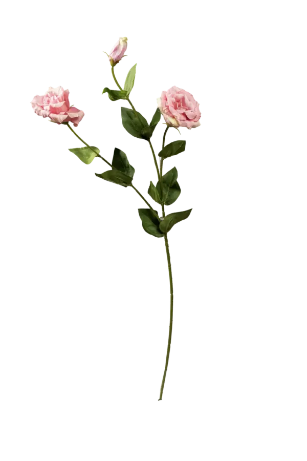 Artificial Eustoma Flower — Soft Apricot Mist | Vyne Boutique