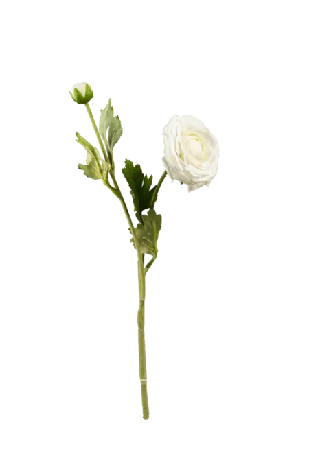 Artificial Ranunculus Flower — Ivory Veil Cream | Vyne Boutique