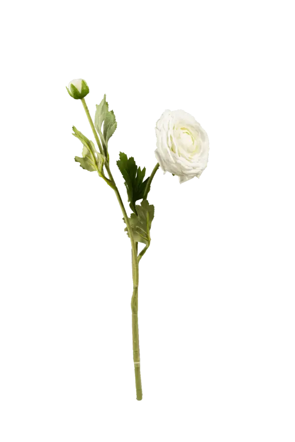 Artificial Ranunculus Flower — Ivory Veil Cream | Vyne Boutique