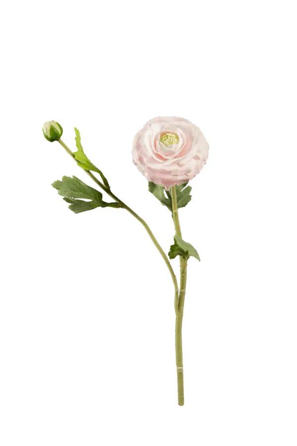 Artificial Ranunculus Flower — Powder Blush | Vyne Boutique