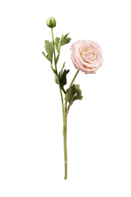Artificial Ranunculus Flower — Blush Porcelain | Vyne Boutique