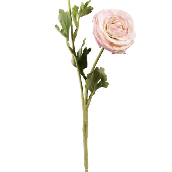 Artificial Ranunculus Flower — Blush Porcelain | Vyne Boutique
