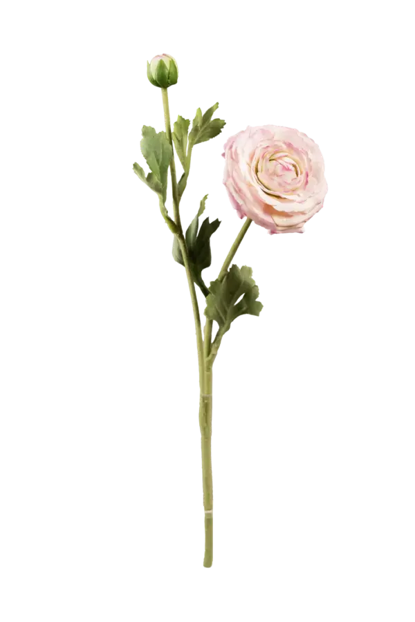 Artificial Ranunculus Flower — Blush Porcelain | Vyne Boutique