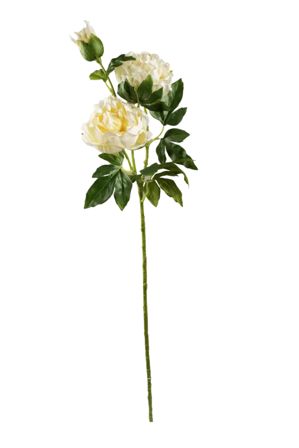 Artificial Peony Flower — Ivory Cloud Cream | Vyne Boutique