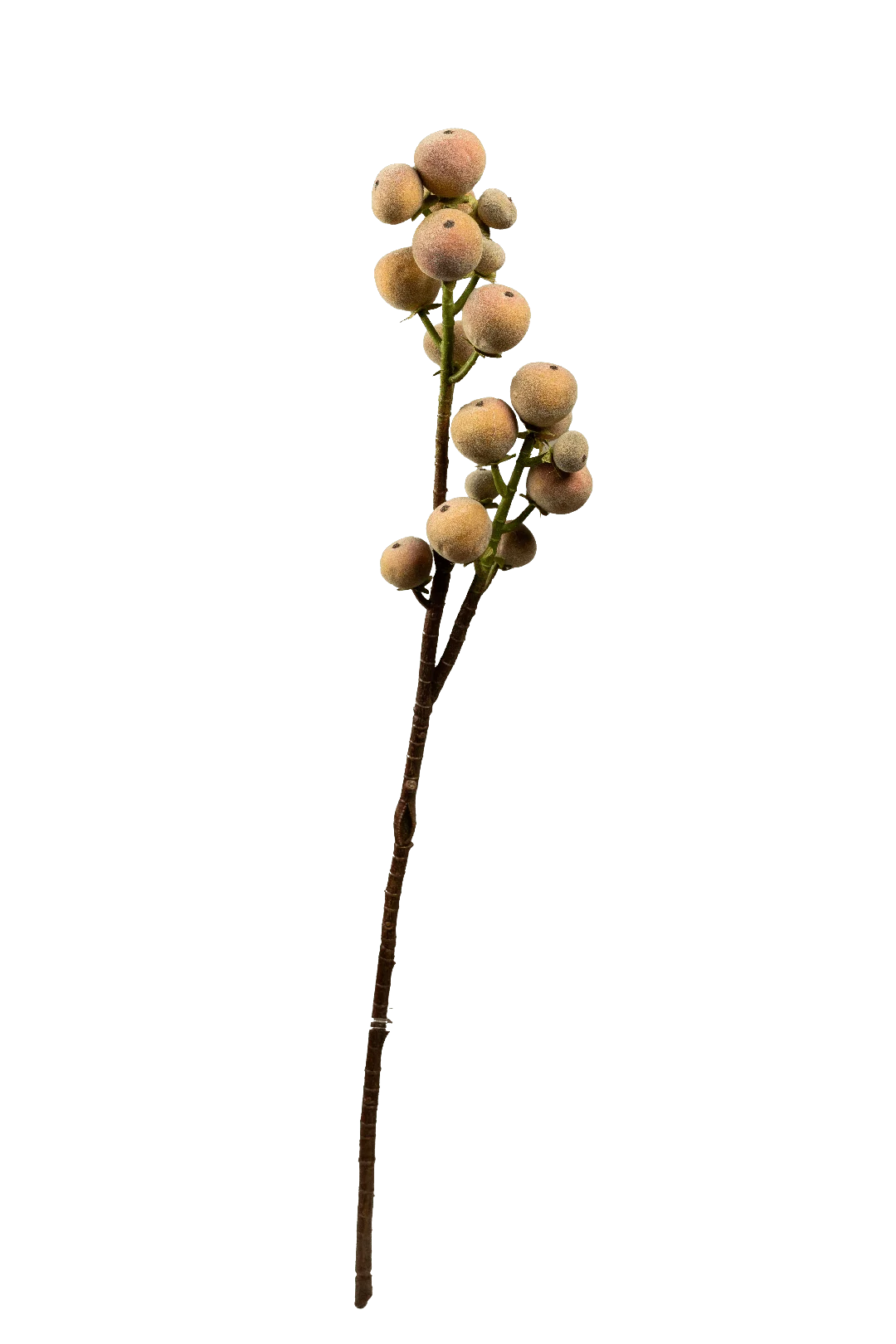 Peach Branch (Velvet Apricot) | Vyne Artificial Peach Branch — Velvet Apricot | Vyne Boutique