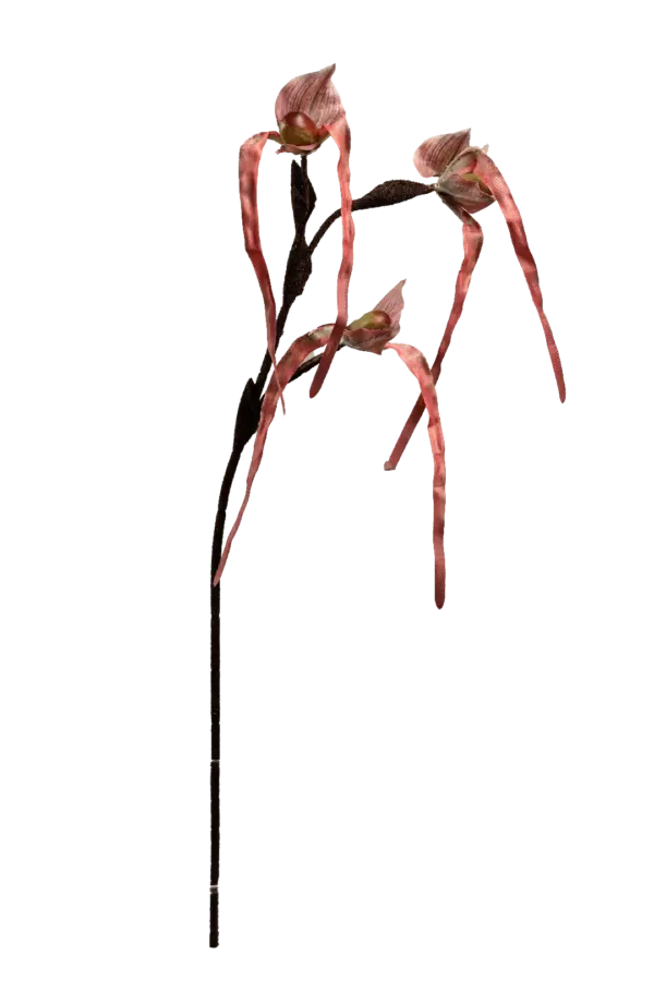 Artificial Monkey Orchid — Crimson Ember | Vyne Boutique