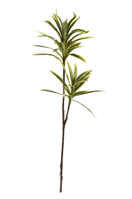 Artificial Dracaena Plant — Variegated Mist Reflexa | Vyne