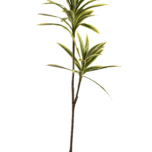 Artificial Dracaena Plant — Variegated Mist Reflexa | Vyne