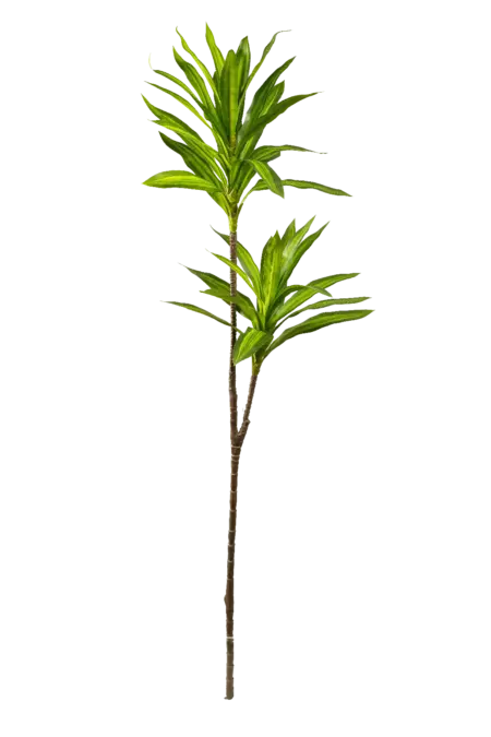Artificial Dracaena Plant — Emerald Stripe Reflexa | Vyne