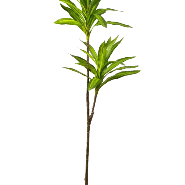 Artificial Dracaena Plant — Emerald Stripe Reflexa | Vyne