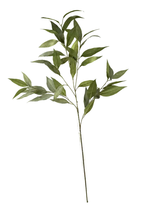 Artificial Ficus Foliage — Natural Olive Green Alii | Vyne
