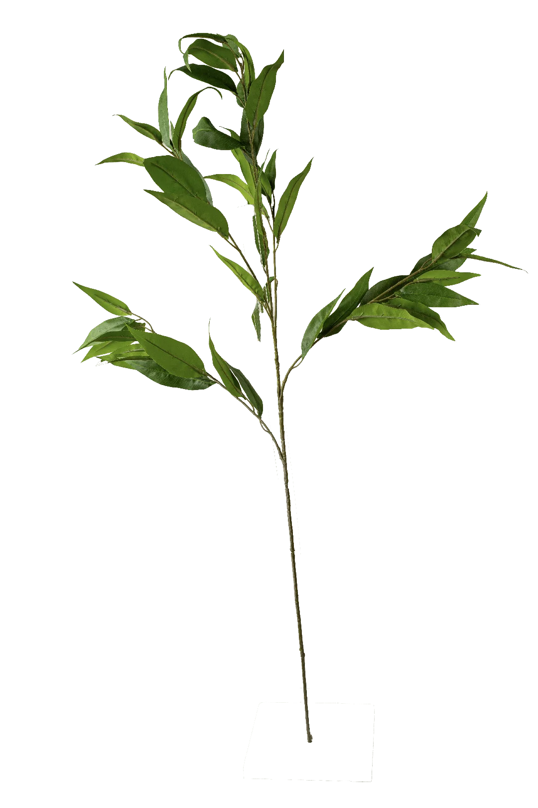 Ficus Alii (Vivid Spring Green) | Vyne Artificial Ficus Foliage — Vivid Spring Green Alii | Vyne