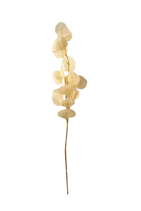 Artificial Eucalyptus Stem — Vanilla Linen | Vyne Boutique