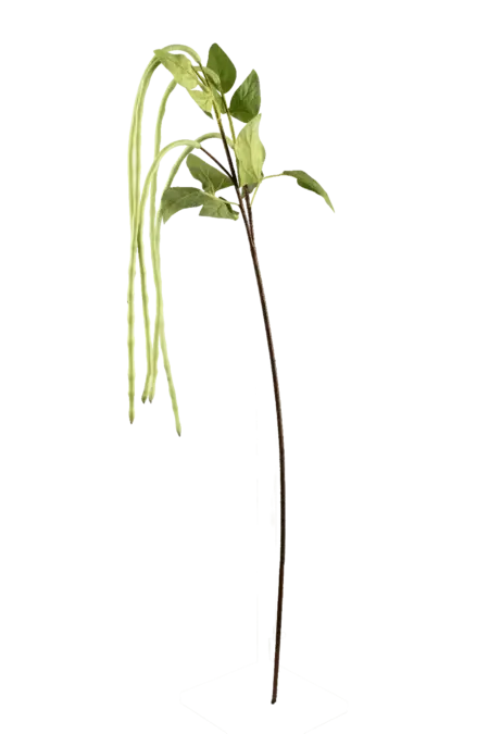Artificial Berry Stem — Fresh Green Long Bean | Vyne Boutique