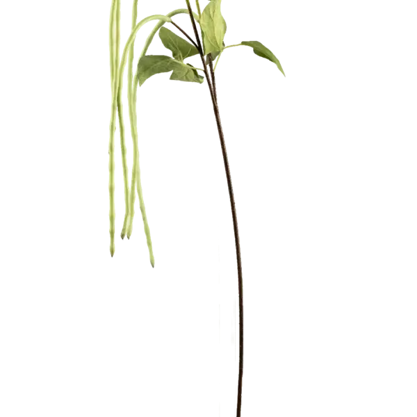 Artificial Berry Stem — Fresh Green Long Bean | Vyne Boutique