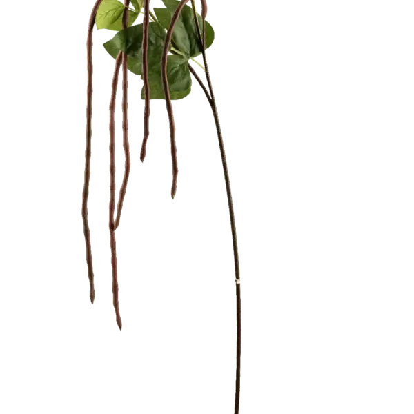 Artificial Berry Stem — Mulberry Long Bean | Vyne Boutique