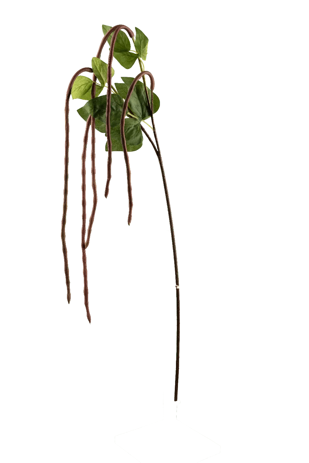 Long Bean Stem (Mulberry Stem) | Vyne Artificial Berry Stem — Mulberry Long Bean | Vyne Boutique