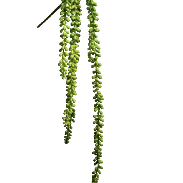 Artificial Succulent Stem — Vivid Moss Green Sedum | Vyne