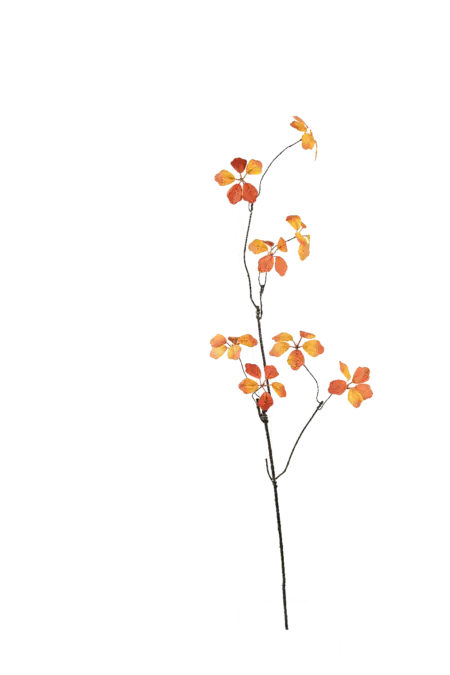 Artificial Cotinus Branch — Burnt Sienna | Vyne Boutique