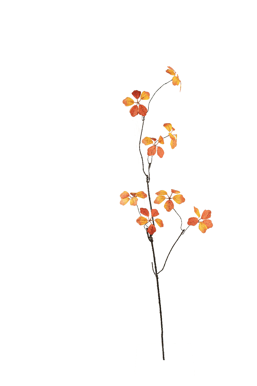 Cotinus Branch (Burnt Sienna) | Vyne Artificial Cotinus Branch — Burnt Sienna | Vyne Boutique