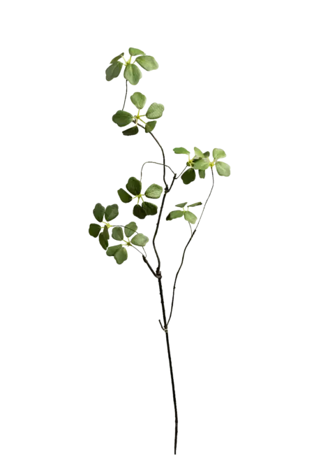 Artificial Cotinus Branch — Fresh Verdant | Vyne Boutique