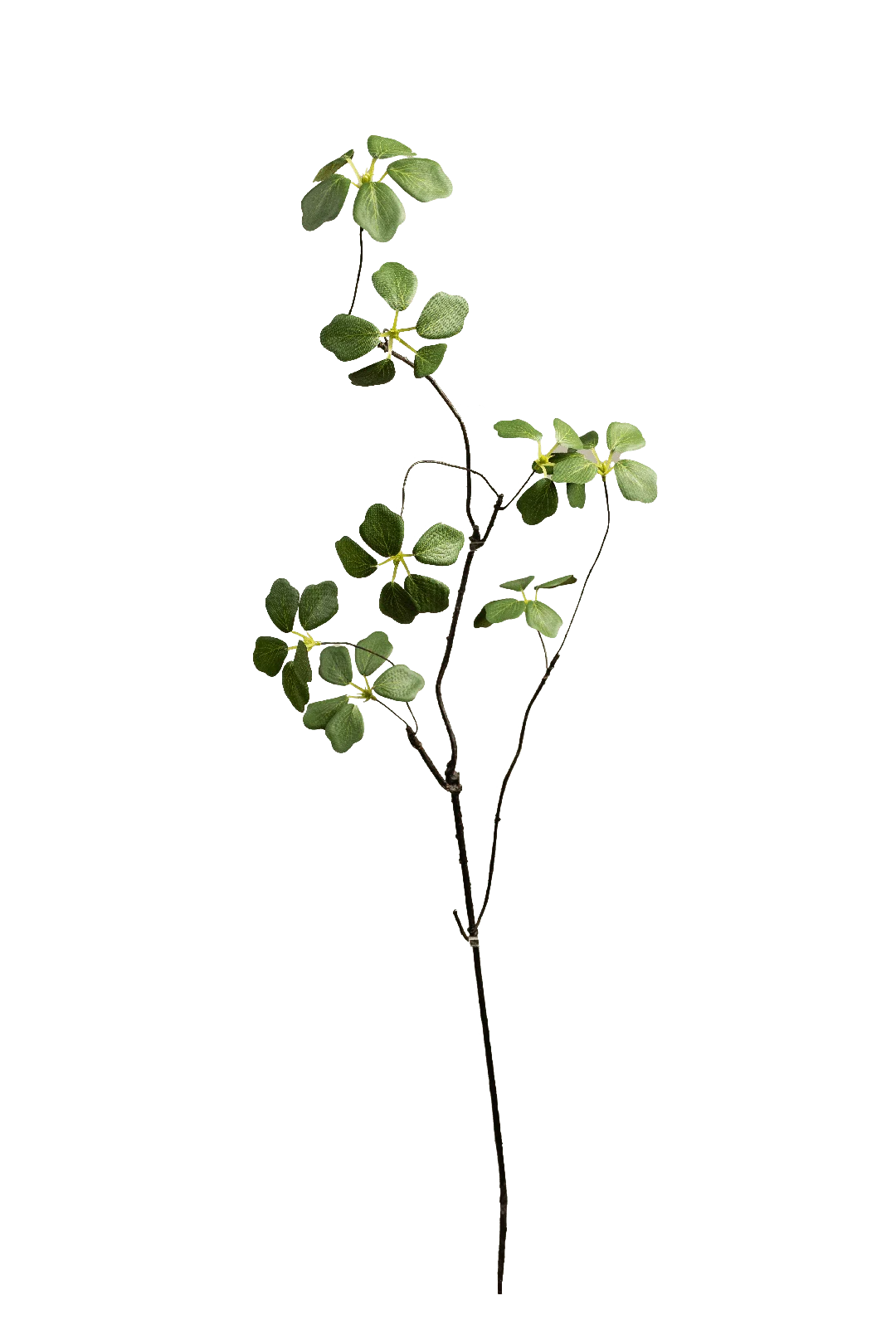 Cotinus Branch (Fresh Verdant) | Vyne Artificial Cotinus Branch — Fresh Verdant | Vyne Boutique