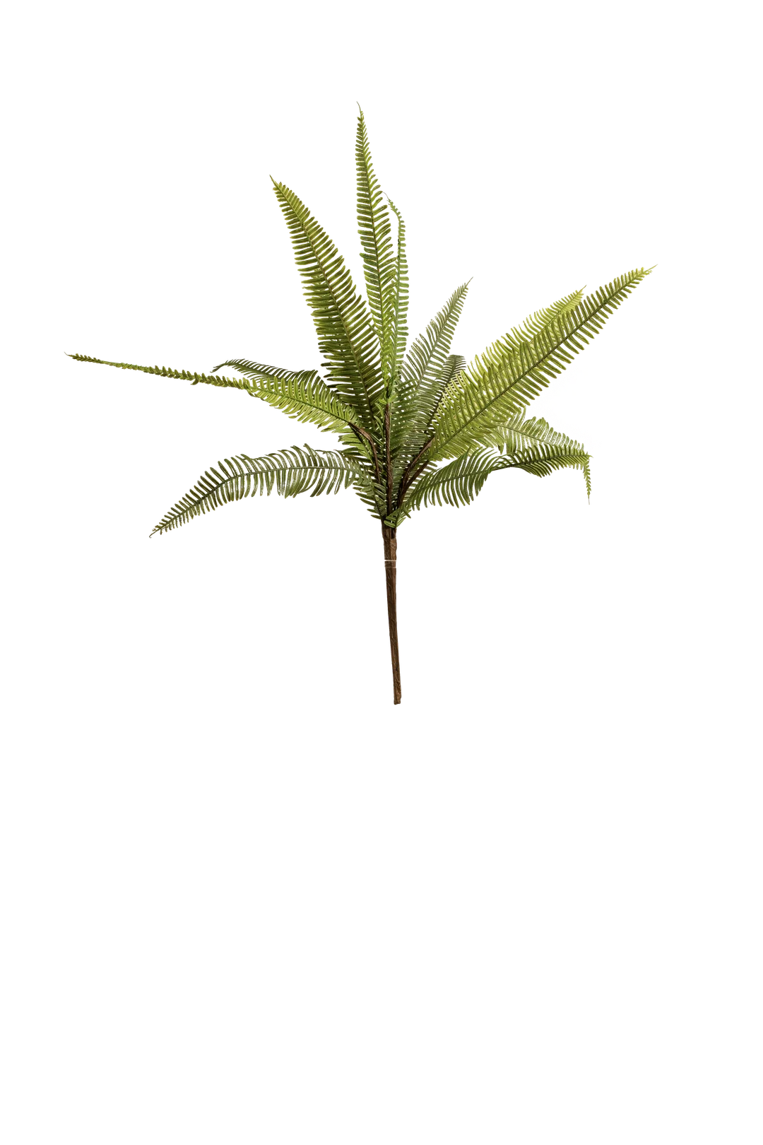 Leather Leaf Spray (Fresh Meadow) | Vyne Artificial Leaf Spray — Fresh Meadow Leather Leaf | Vyne