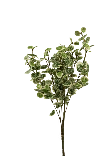 Artificial Fittonia Leaf — Ivory Lace White Spray | Vyne