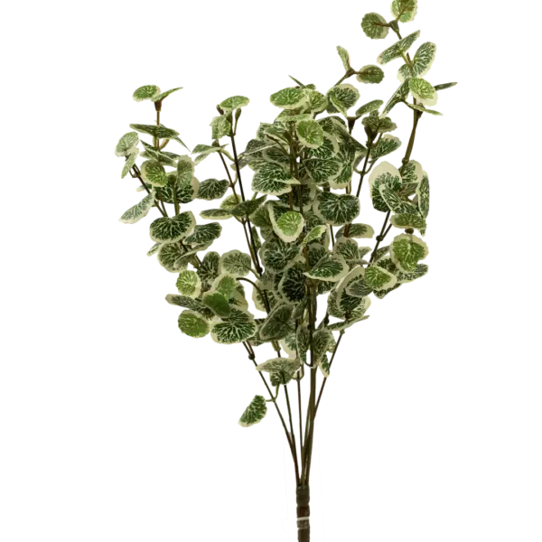 Artificial Fittonia Leaf — Ivory Lace White Spray | Vyne