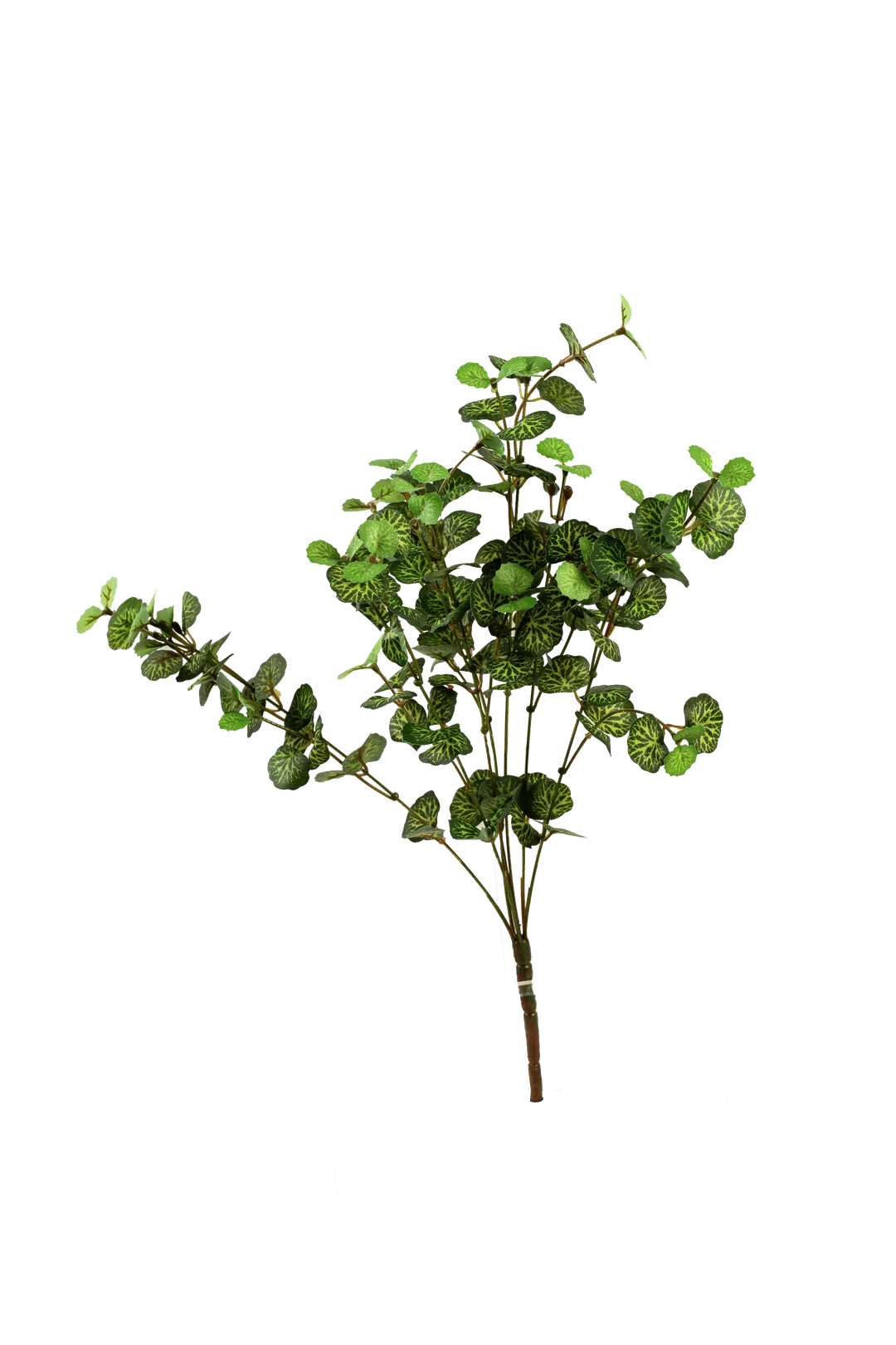 Fittonia Leaf Spray (Emerald Vein) | Vyne Artificial Fittonia Leaf — Emerald Vein Green Spray | Vyne