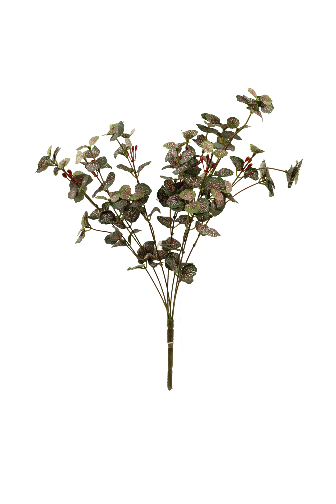 Fittonia Leaf Spray (Raspberry Vein) | Vyne Artificial Fittonia Leaf — Raspberry Vein Spray | Vyne