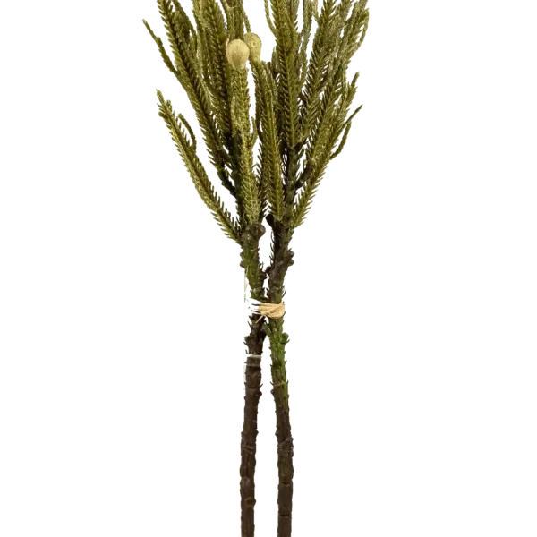 Artificial Banksia Stem — Sage Meadow Green | Vyne Boutique