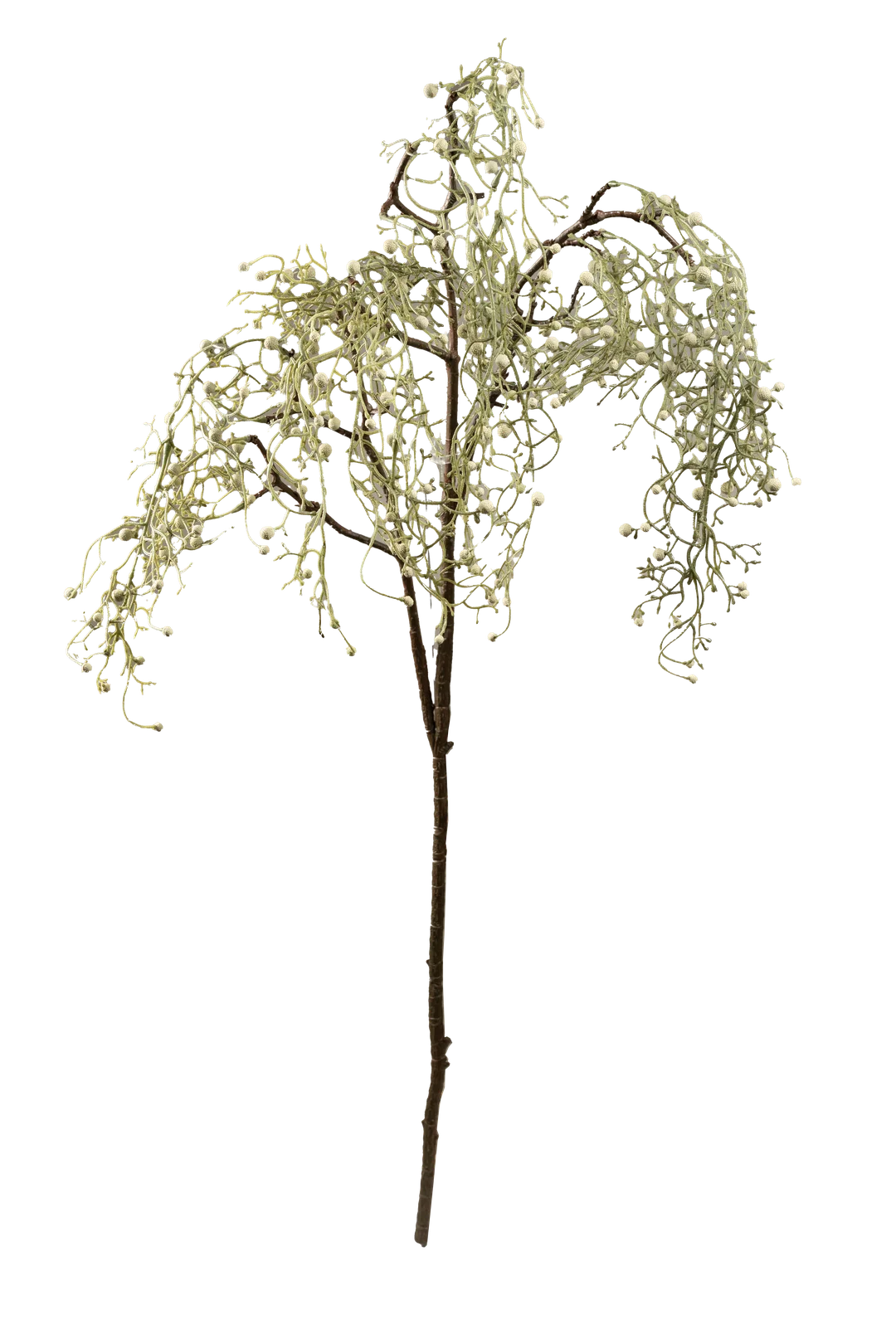 Silver Berry Branch (Soft Ivory) | Vyne Artificial Berry Stem — Soft Ivory Silver Berry Branch | Vyne