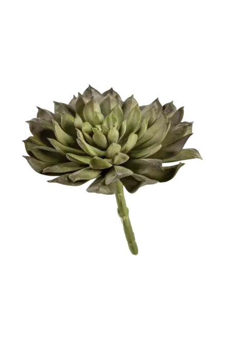 Artificial Echeveria Succulent — Sage Horizon Green | Vyne