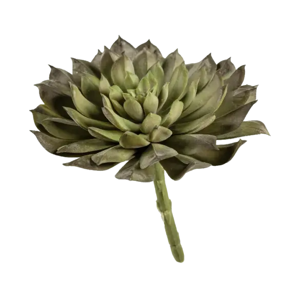 Artificial Echeveria Succulent — Sage Horizon Green | Vyne