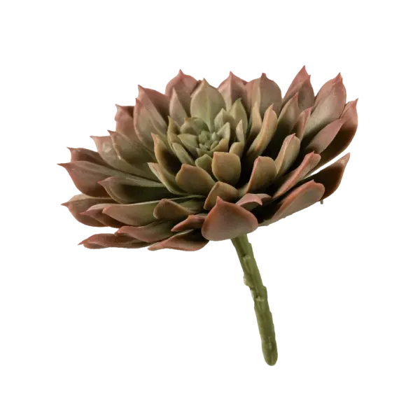Artificial Echeveria Succulent — Blushed Moss Green | Vyne