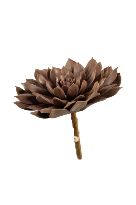 Artificial Echeveria Succulent — Mulberry Ember | Vyne