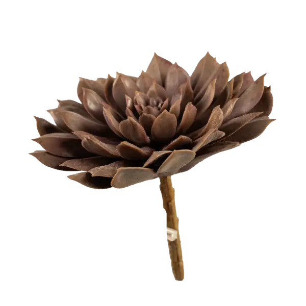 Artificial Echeveria Succulent — Mulberry Ember | Vyne