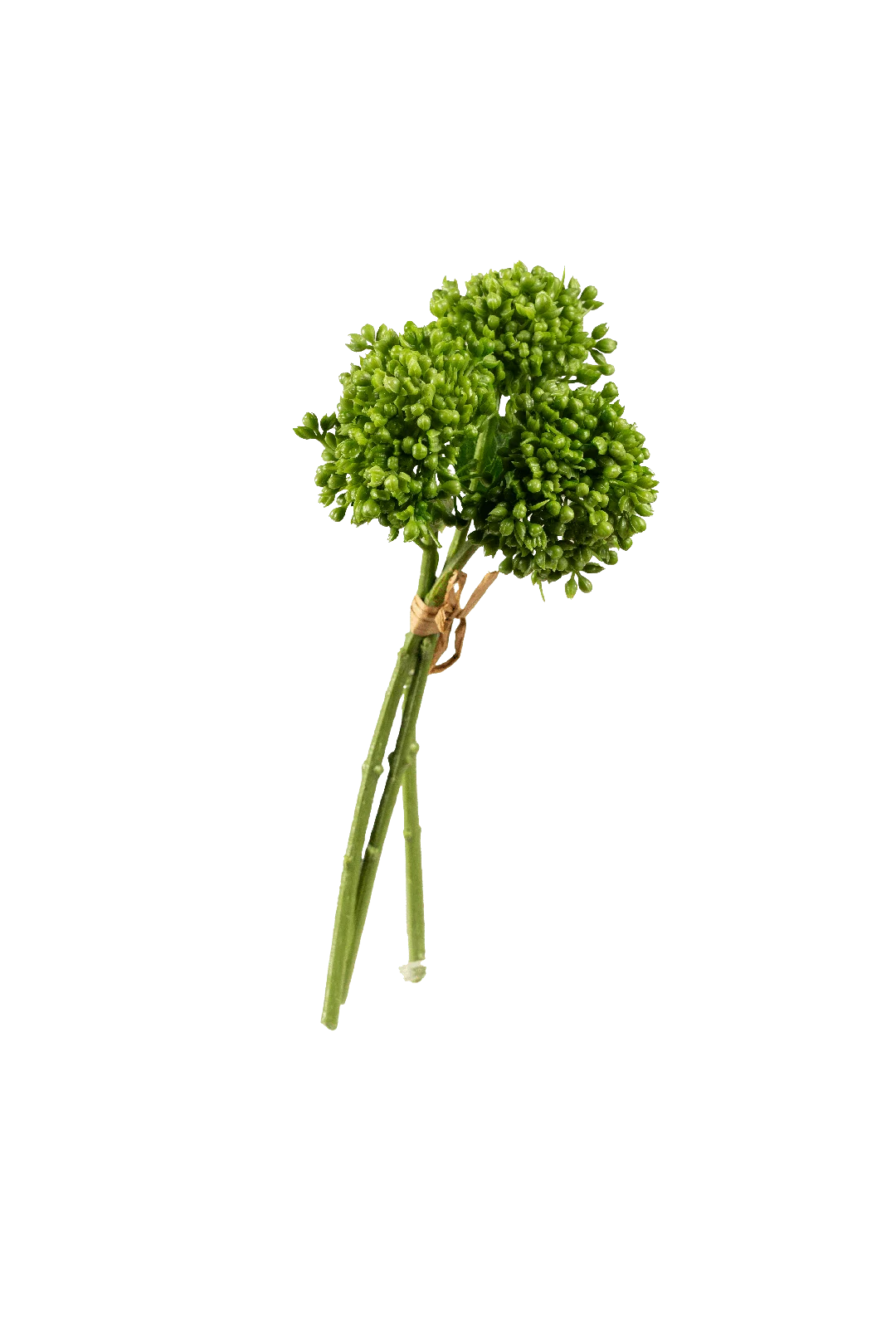 Ixora Bunch (Spring Bug Green) | Vyne Artificial Ixora Flower — Spring Bug Green | Vyne Boutique