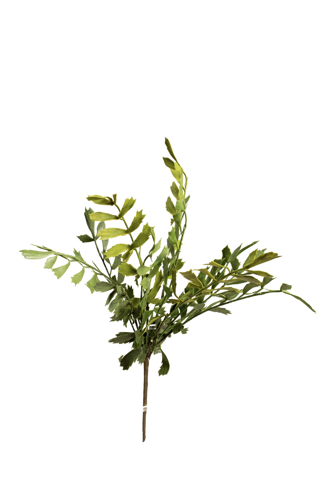 Holly Fern (Fresh Meadow) | Vyne Artificial Fern Spray — Fresh Meadow Holly Fern | Vyne