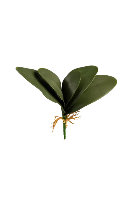 Artificial Orchid Leaf — Deep Forest Green | Vyne