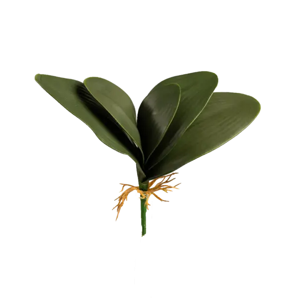 Artificial Orchid Leaf — Deep Forest Green | Vyne
