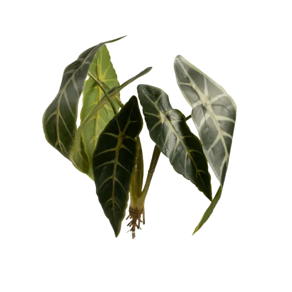 Artificial Alocasia Leaf — Emerald Vein | Vyne Boutique