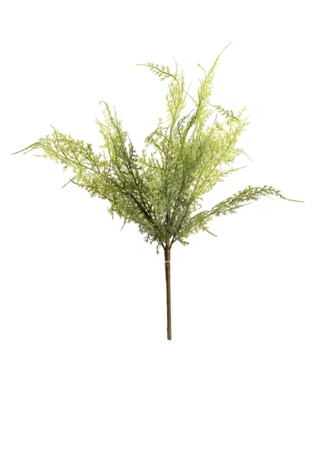 Artificial Asparagus Fern — Wild Meadow Green | Vyne Boutique