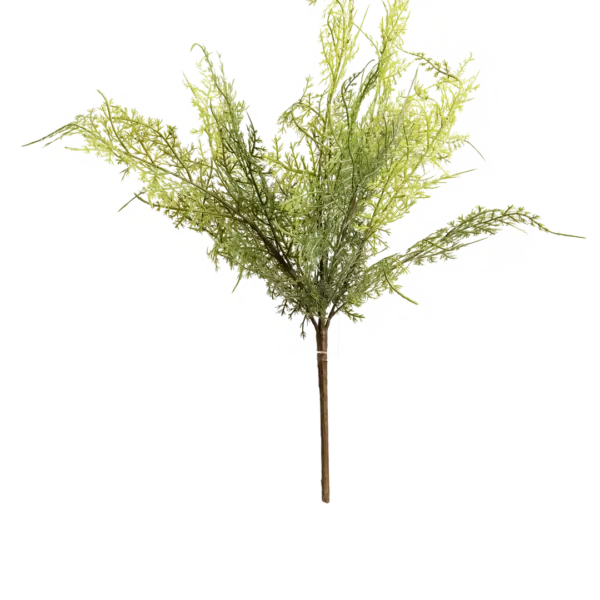 Artificial Asparagus Fern — Wild Meadow Green | Vyne Boutique