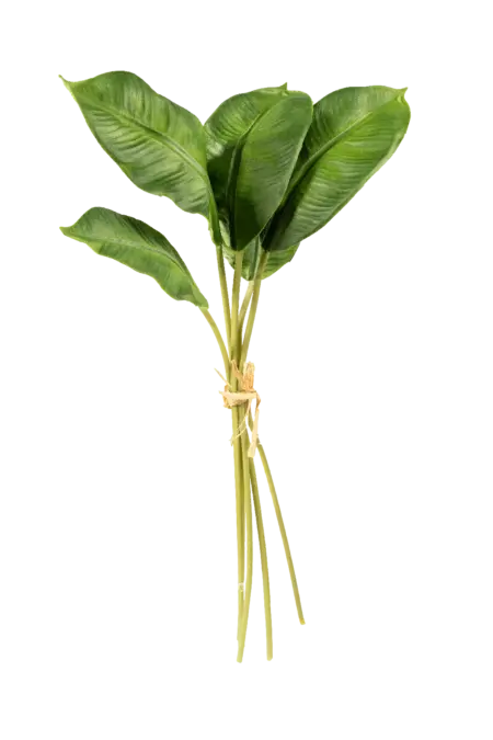 Artificial Strelitzia Leaf — Tropical Green Bundle | Vyne
