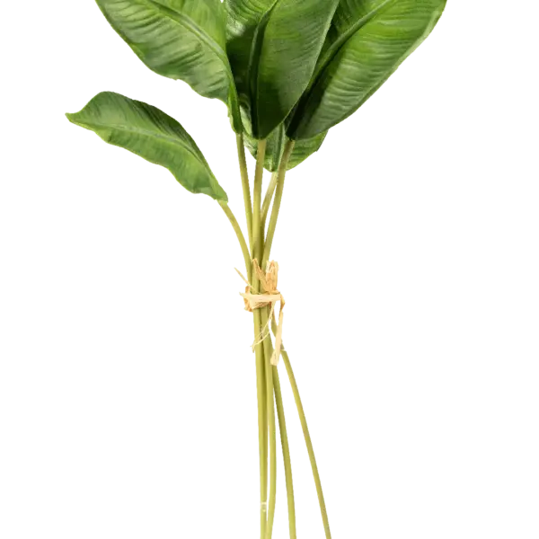 Artificial Strelitzia Leaf — Tropical Green Bundle | Vyne