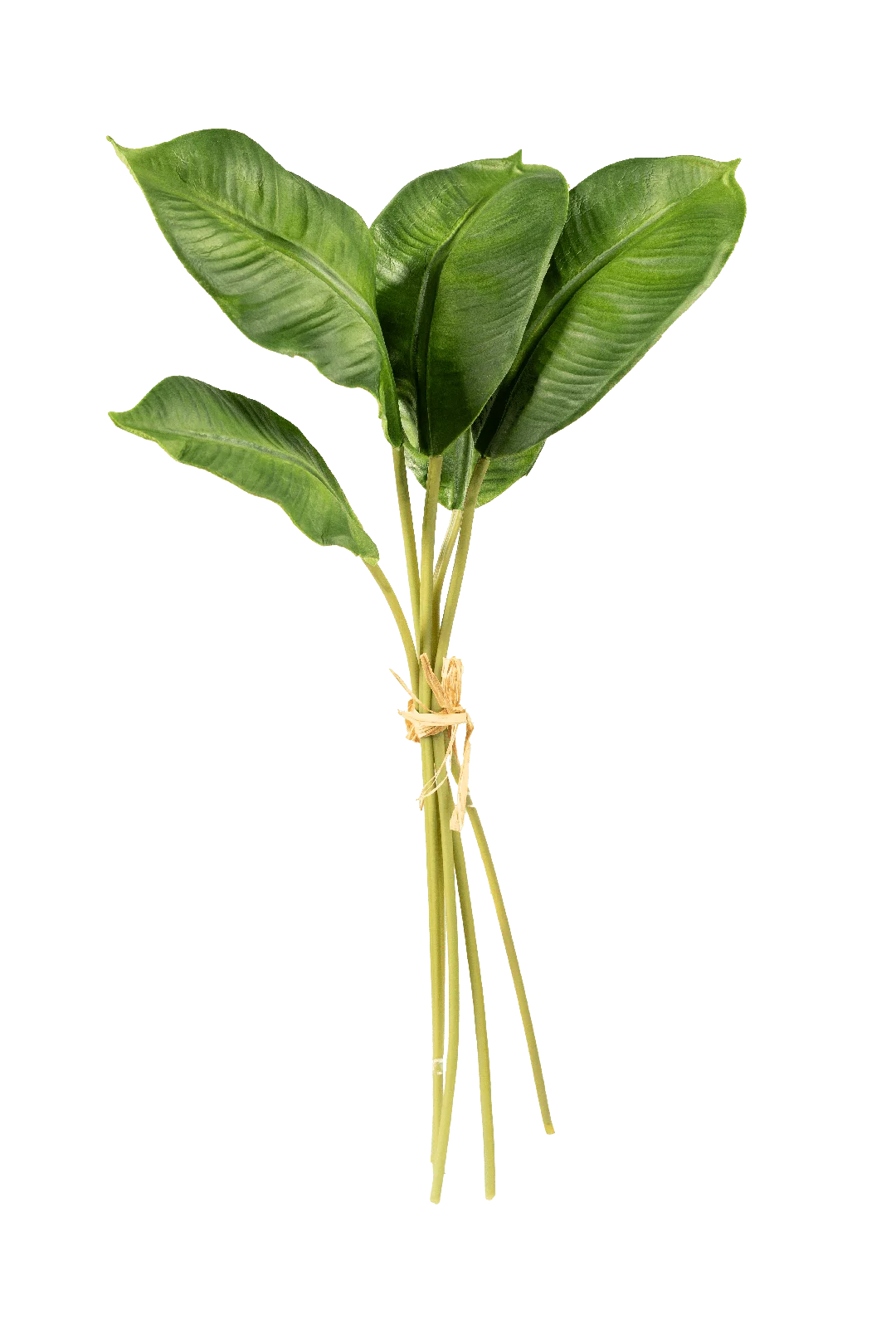 Strelitzia Leaf Bundle (Tropical Green) | Vyne Artificial Strelitzia Leaf — Tropical Green Bundle | Vyne