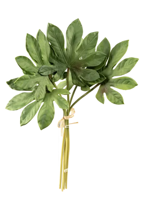 Artificial Fatsia Leaf — Garden Green Bundle | Vyne Boutique